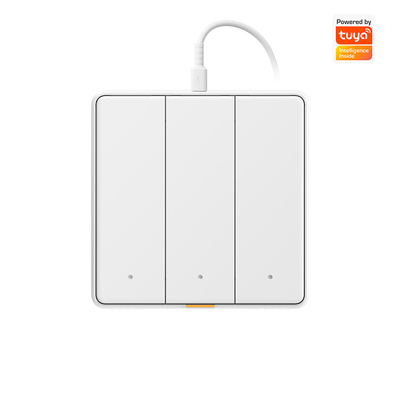 Tuya WIFI Touch Switch خانه هوشمند با نوع زمان بندی C اپلیکیشن صوتی الکسا، Google Home RF433 Smart EU Switch Button